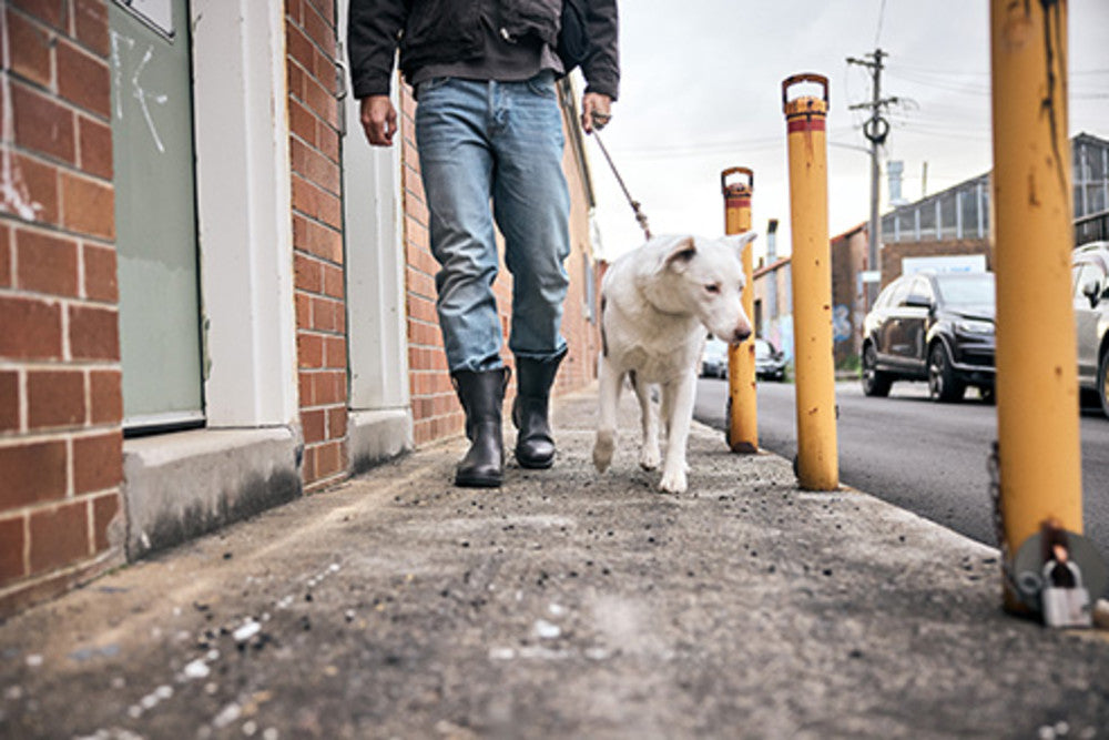 Men's Originals #2528 - Image 8